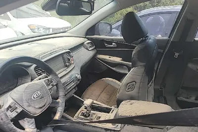 2019 Kia Sorento KNAPS81BBKA499609 VIN:KNAPS81BBKA499609