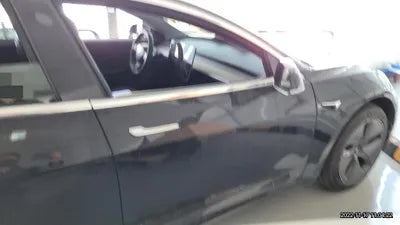 2019 Tesla Model 3 VIN: