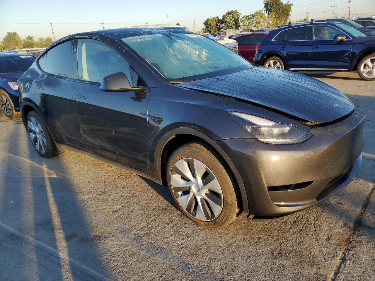 2024 TESLA MODEL Y  VIN:7SAYGDED5RF034308
