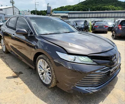 2019 Toyota Camry JTNB21HK0K3036458 VIN:JTNB21HK0K3036458