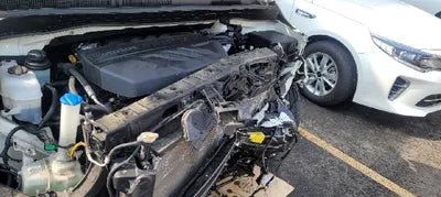 2019 Kia Carnival KNAME81ABKS503293 VIN:KNAME81ABKS503293
