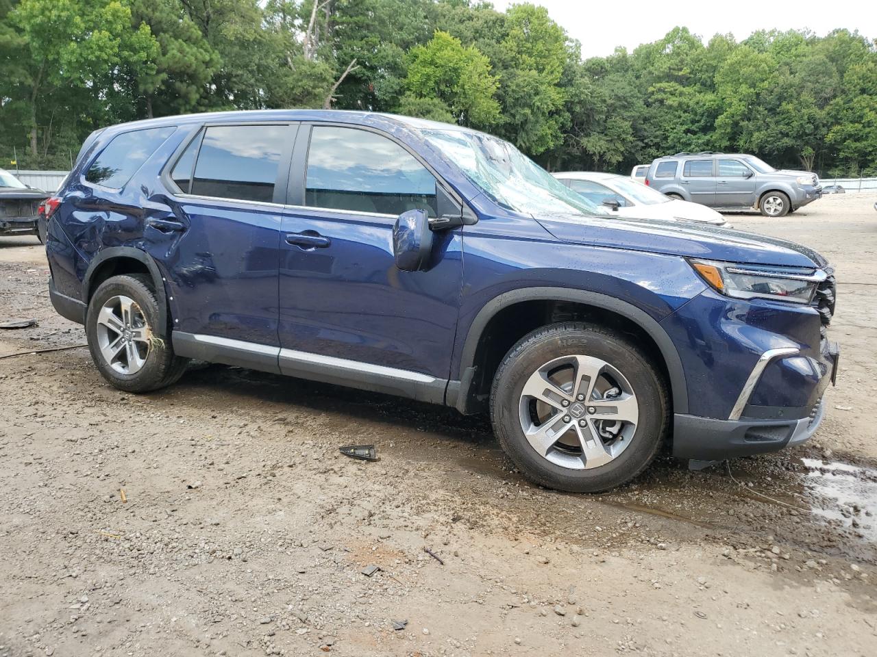 2024 HONDA PILOT EXL VIN:5FNYG2H56RB004448