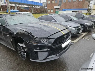 2019 Ford Mustang GT 738KM1FATP8FF9K51 VIN:738KM1FATP8FF9K51