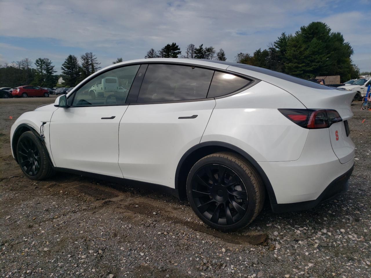2023 TESLA MODEL Y  VIN:7SAYGDEE6PA148420