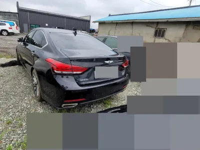 2015 acupuncture nessis 3.3 VIN: