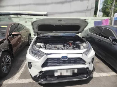 2019 Toyota RAV4 VIN: