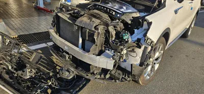 2020 Kia Sorento KNARH81BGMA032689 VIN:KNARH81BGMA032689