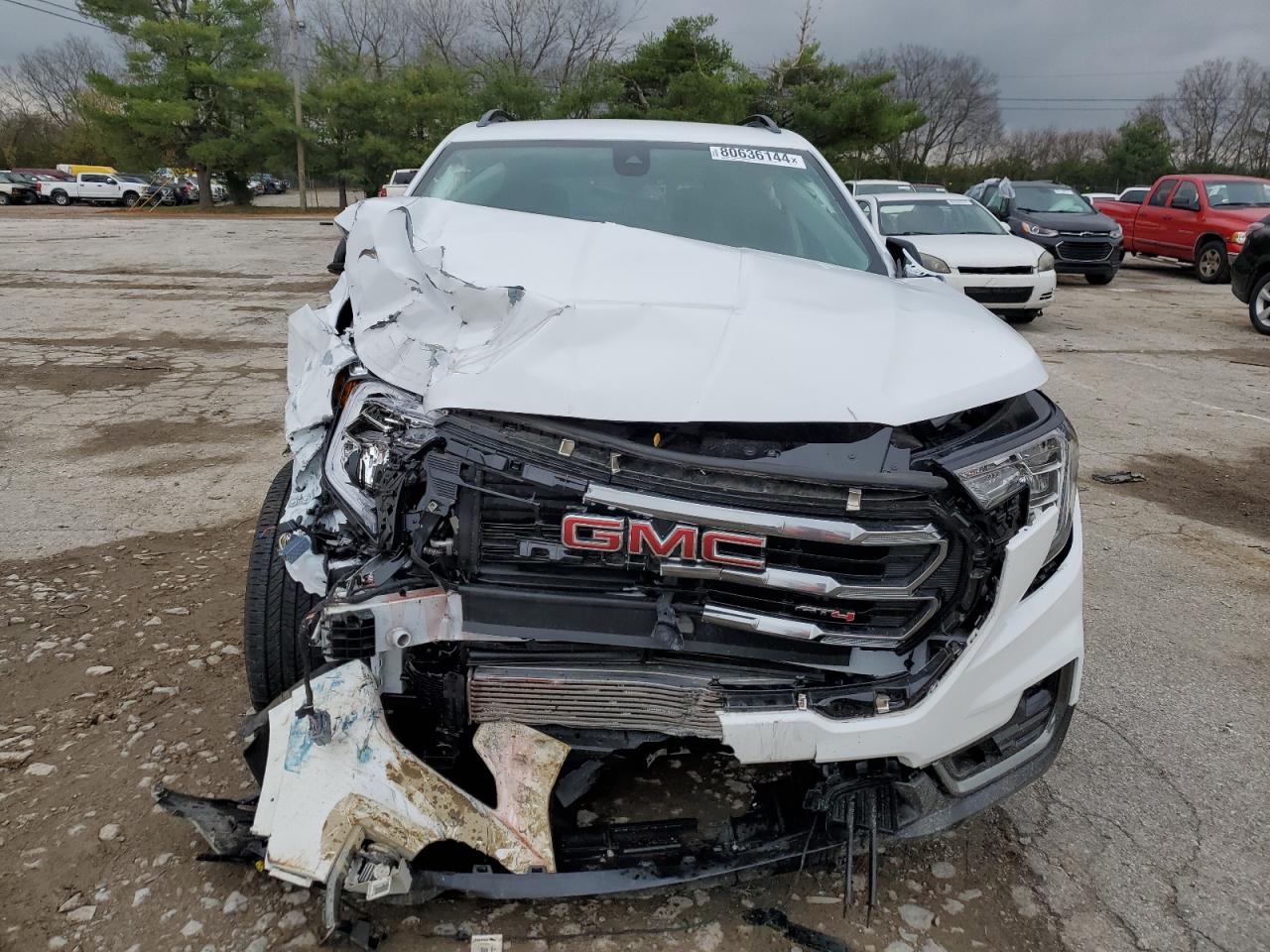 2024 GMC TERRAIN AT4 VIN:3GKALYEG0RL170881