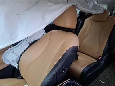 2020 Kia Carnival KNANC81BBMS018906 VIN:KNANC81BBMS018906