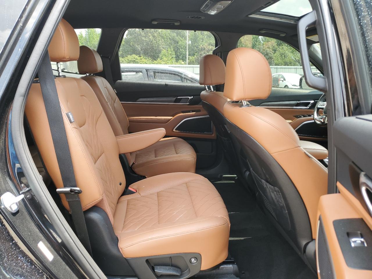 2023 KIA TELLURIDE EX VIN:5XYP3DGC9PG409387
