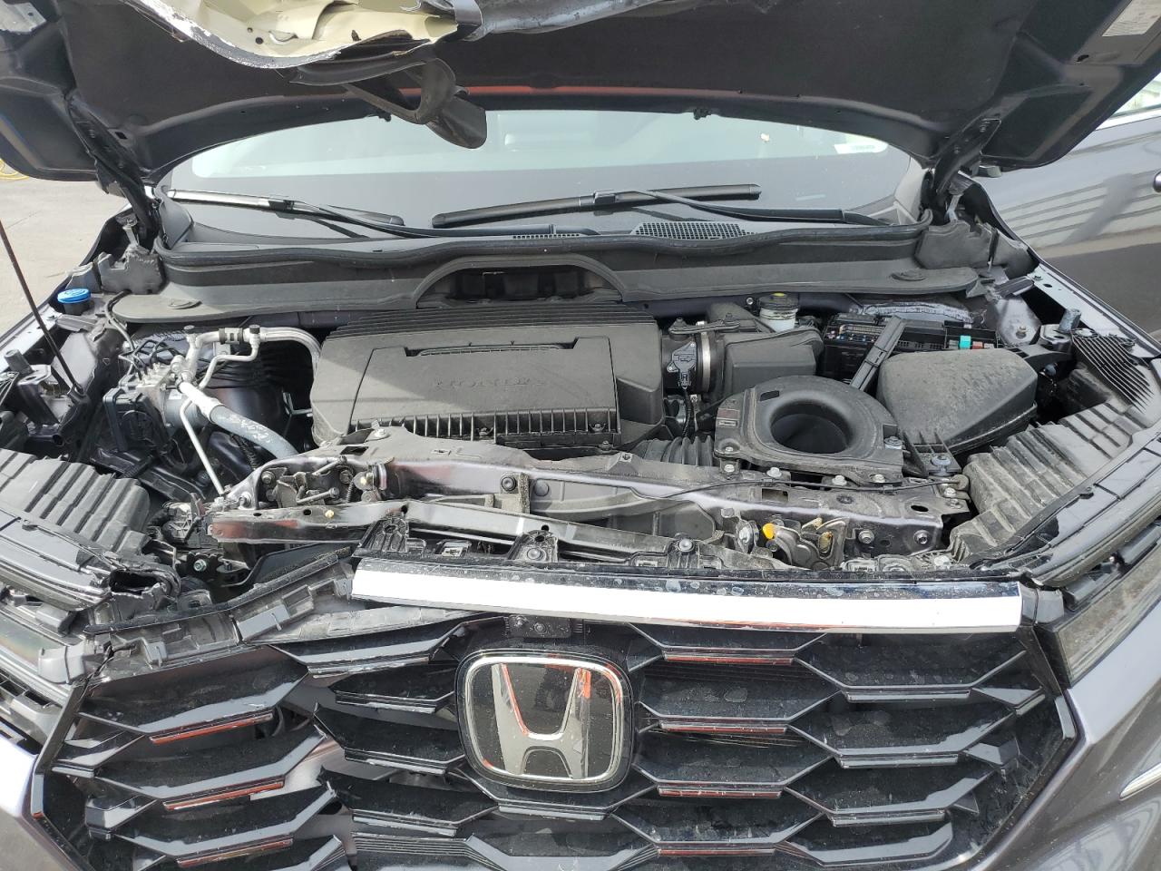 2024 HONDA PILOT ELITE VIN:5FNYG1H87RB005922