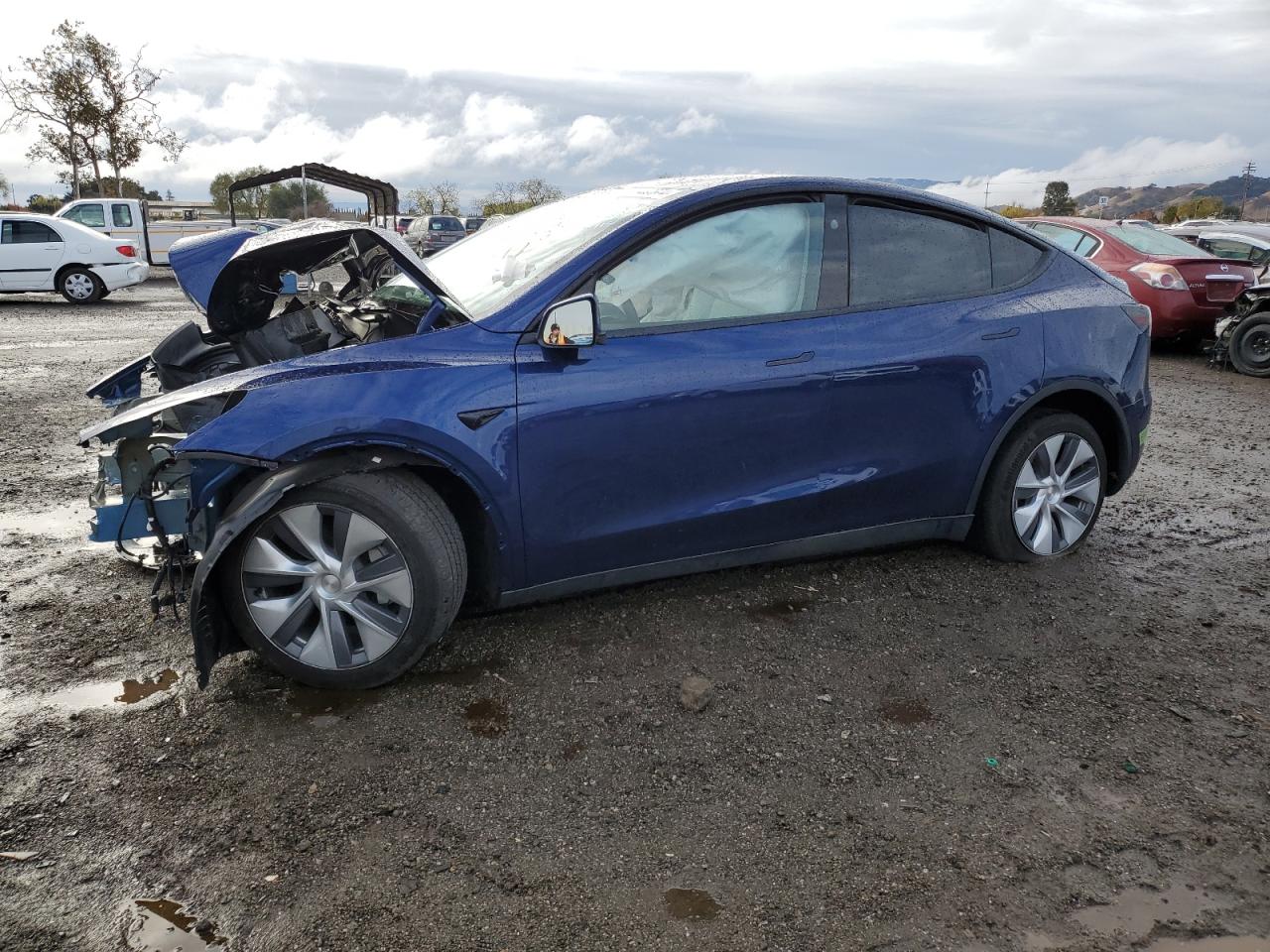 2023 TESLA MODEL Y  VIN:7SAYGDEE5PF844110