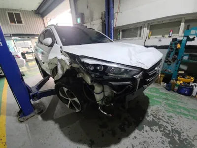 2017 Hyundai Tucson KMHJ581ABJU539316 VIN:KMHJ581ABJU539316