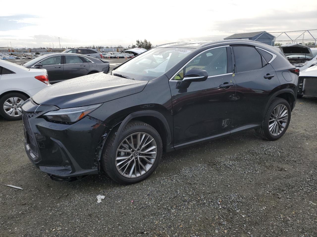 2024 LEXUS NX 350H BASE VIN:JTJHKCEZ7R2024848