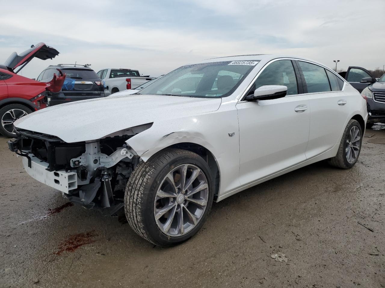 2024 CADILLAC CT5 PREMIUM LUXURY VIN:1G6DT5RW9R0130095