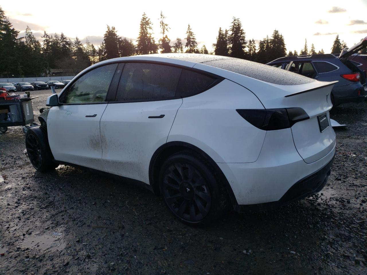 2022 TESLA MODEL Y  VIN:7SAYGDEE5NF345109