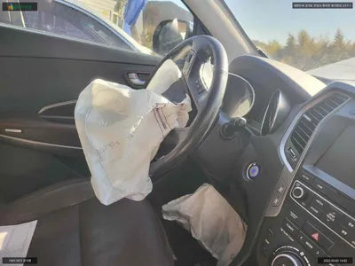 2016 Hyundai Santa FE KMHSW81UBHU725651 VIN:KMHSW81UBHU725651