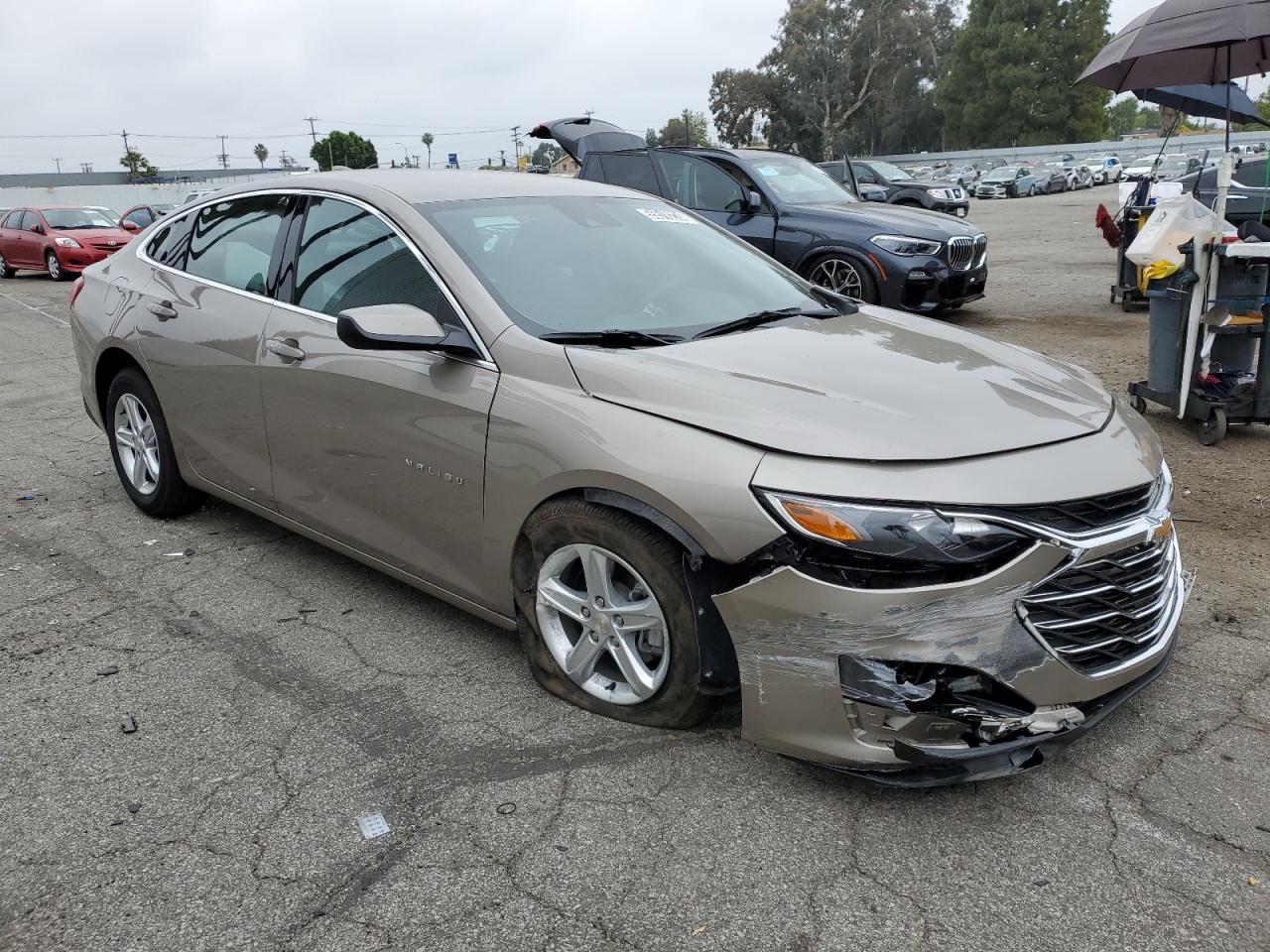 2024 CHEVROLET MALIBU LT VIN:1G1ZD5ST0RF173648