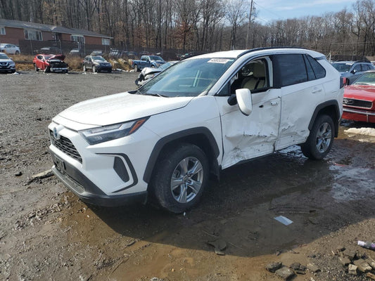 2024 TOYOTA RAV4 LE VIN:2T3MWRFV0RW201428