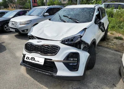 2019 Kia Sportage KNAPP81ABKK713785 VIN:KNAPP81ABKK713785