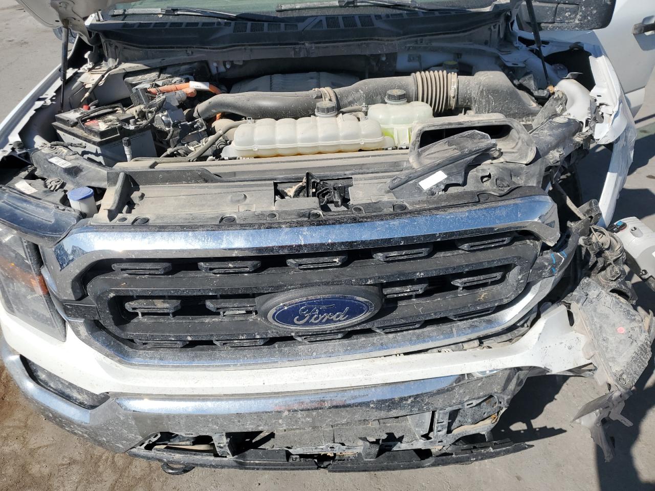2023 FORD F150 SUPERCREW VIN:1FTFW1ED1PFC64877