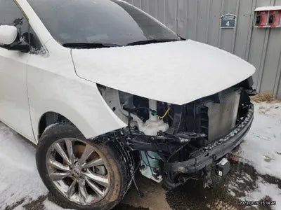 2019 Kia Carnival 115KMKNAME81ABKS5 VIN:115KMKNAME81ABKS5