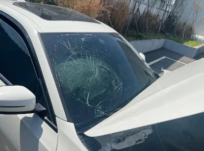 2019 BMW 330 WBA5R3103KAE82391 VIN:WBA5R3103KAE82391