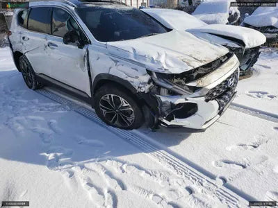 2019 Hyundai Santa FE KMHS381ABKU177949 VIN:KMHS381ABKU177949
