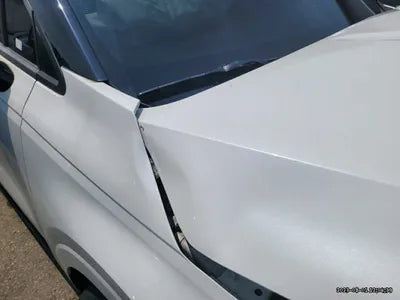 2021 Kia Carnival KNANB81BBMS108922 VIN:KNANB81BBMS108922