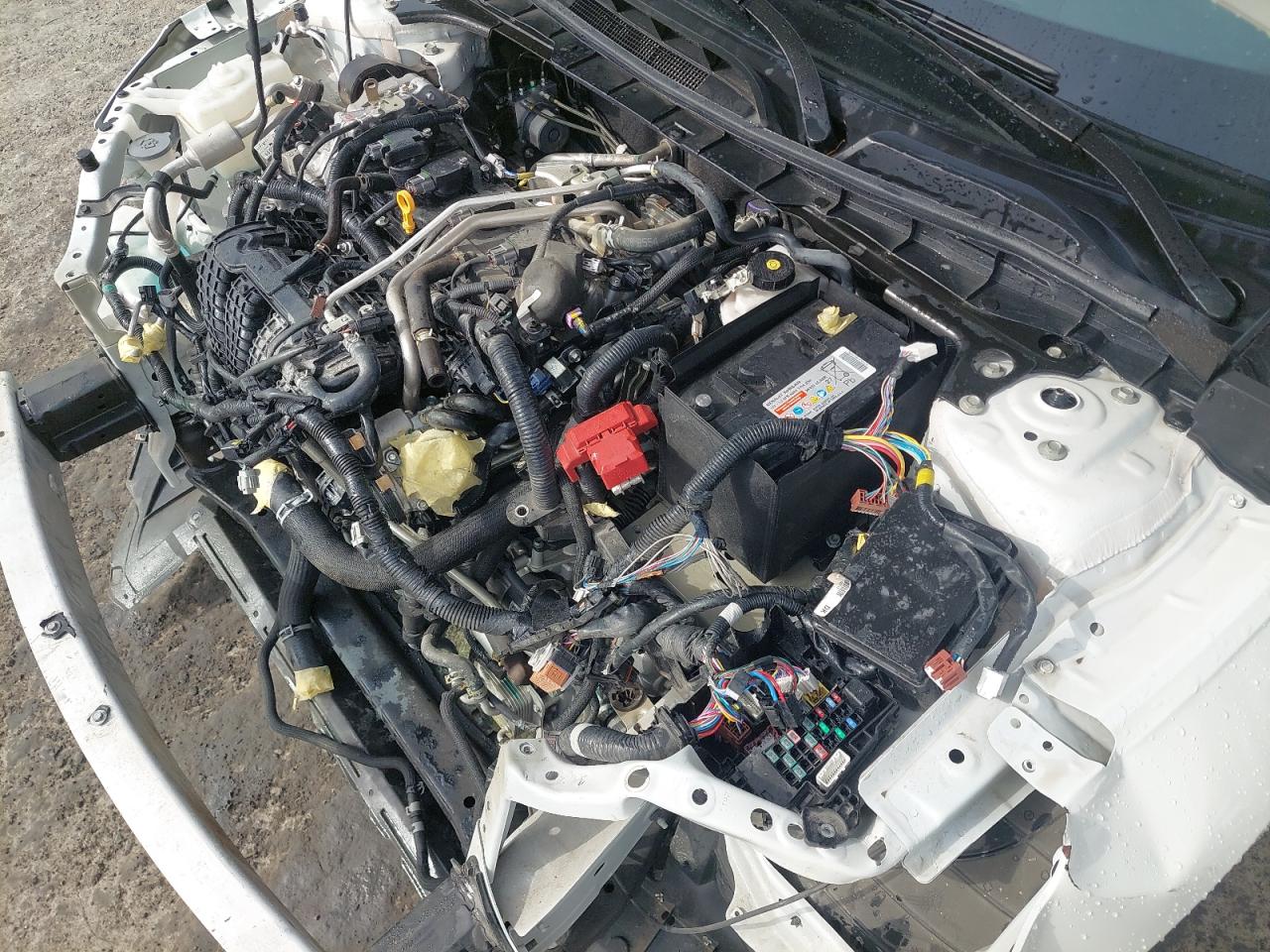 2025 NISSAN ALTIMA VIN:1N4BL4AP4SN******