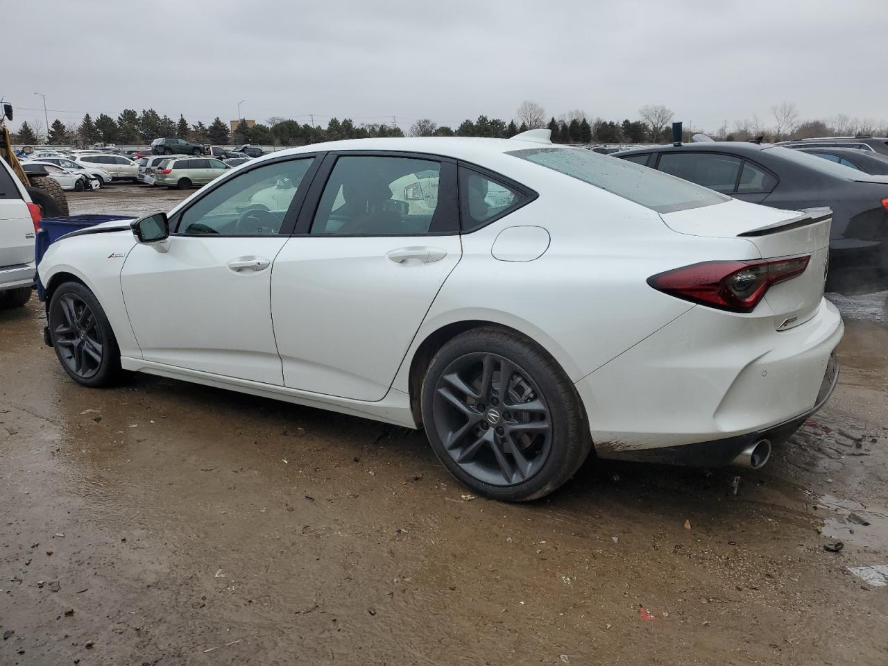 2024 ACURA TLX A-SPEC VIN:19UUB6F54RA000075