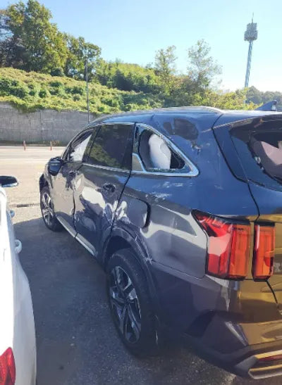 2021 Kia Sorento KNARK81GBMA014905 VIN:KNARK81GBMA014905