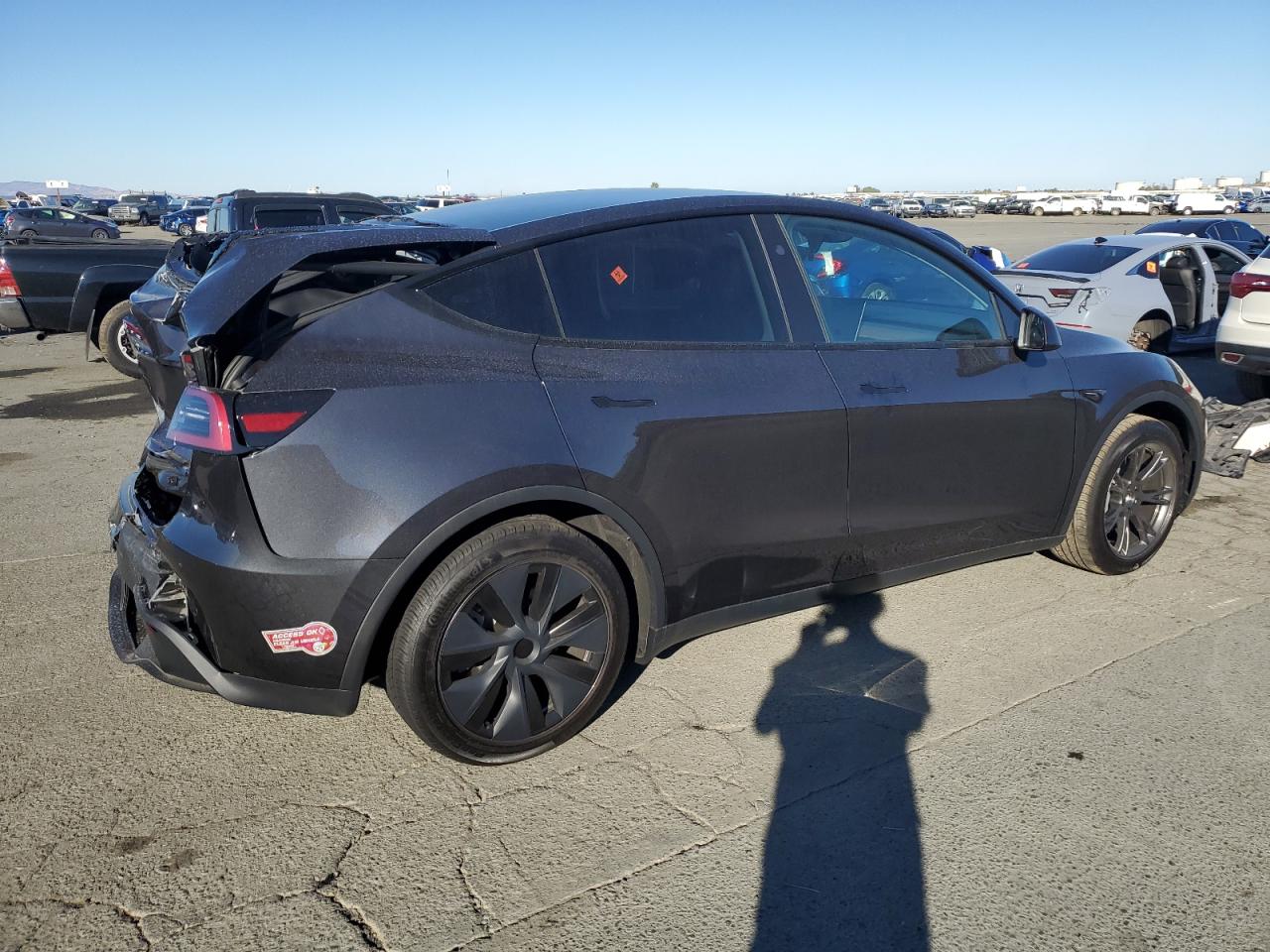 2024 TESLA MODEL Y  VIN:7SAYGDED7RF162890