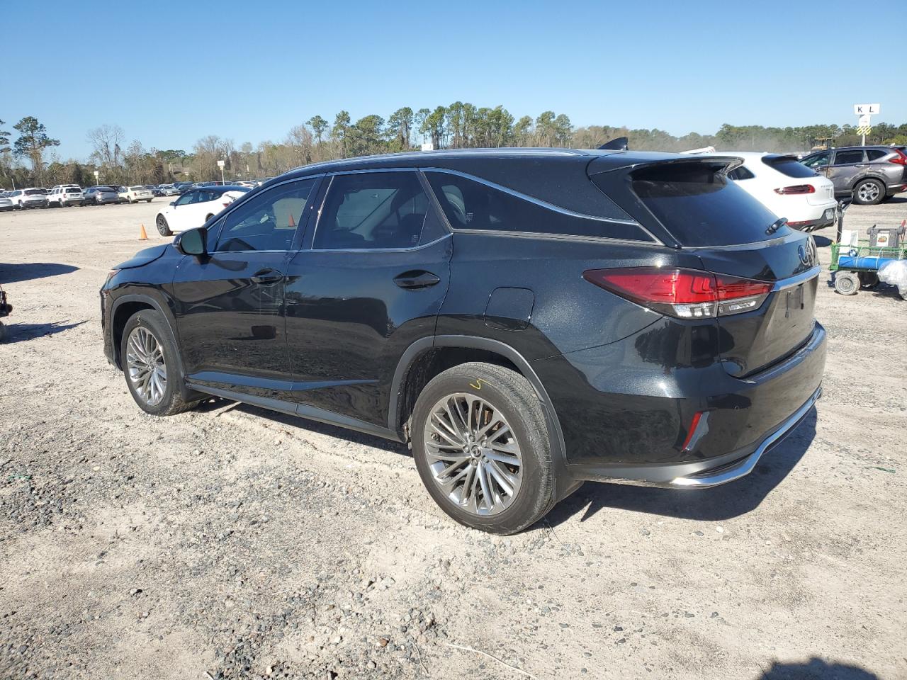 2022 LEXUS RX 350 L LUXURY VIN:JTJJZKEA6N2028174