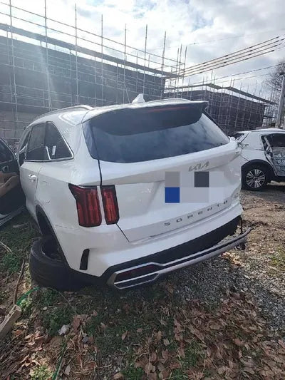 2021 Kia Sorento KNARH81BGMA053240 VIN:KNARH81BGMA053240