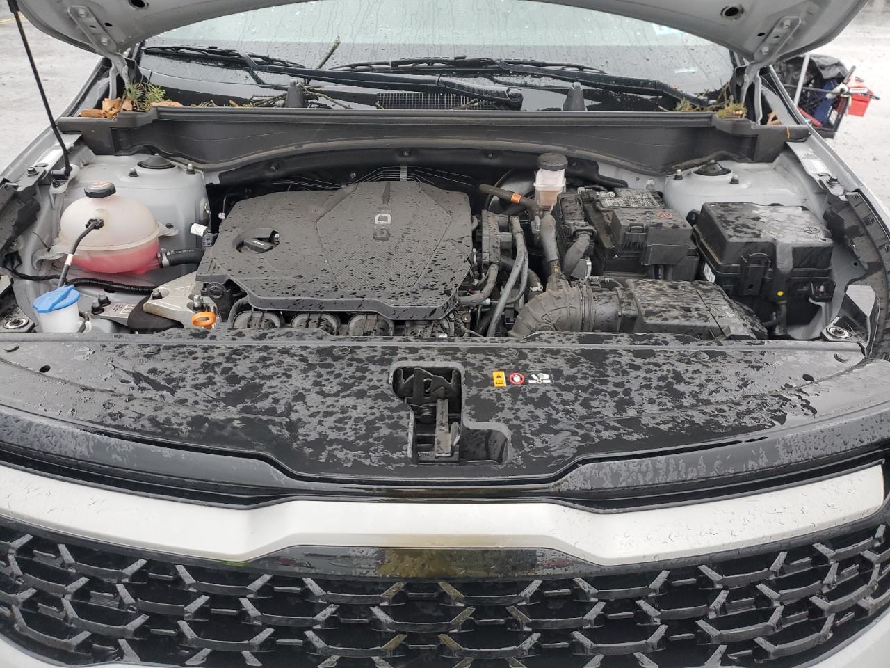 2023 KIA SPORTAGE X LINE VIN:5XYK6CAF9PG079345