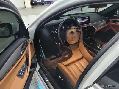 2017 BMW 520 NONE VIN: