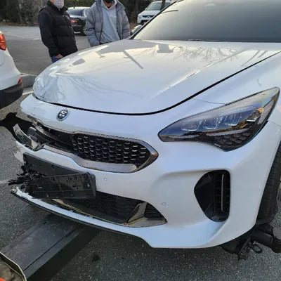 2021 Kia Stinger KNAE351DDMS099818 VIN:KNAE351DDMS099818