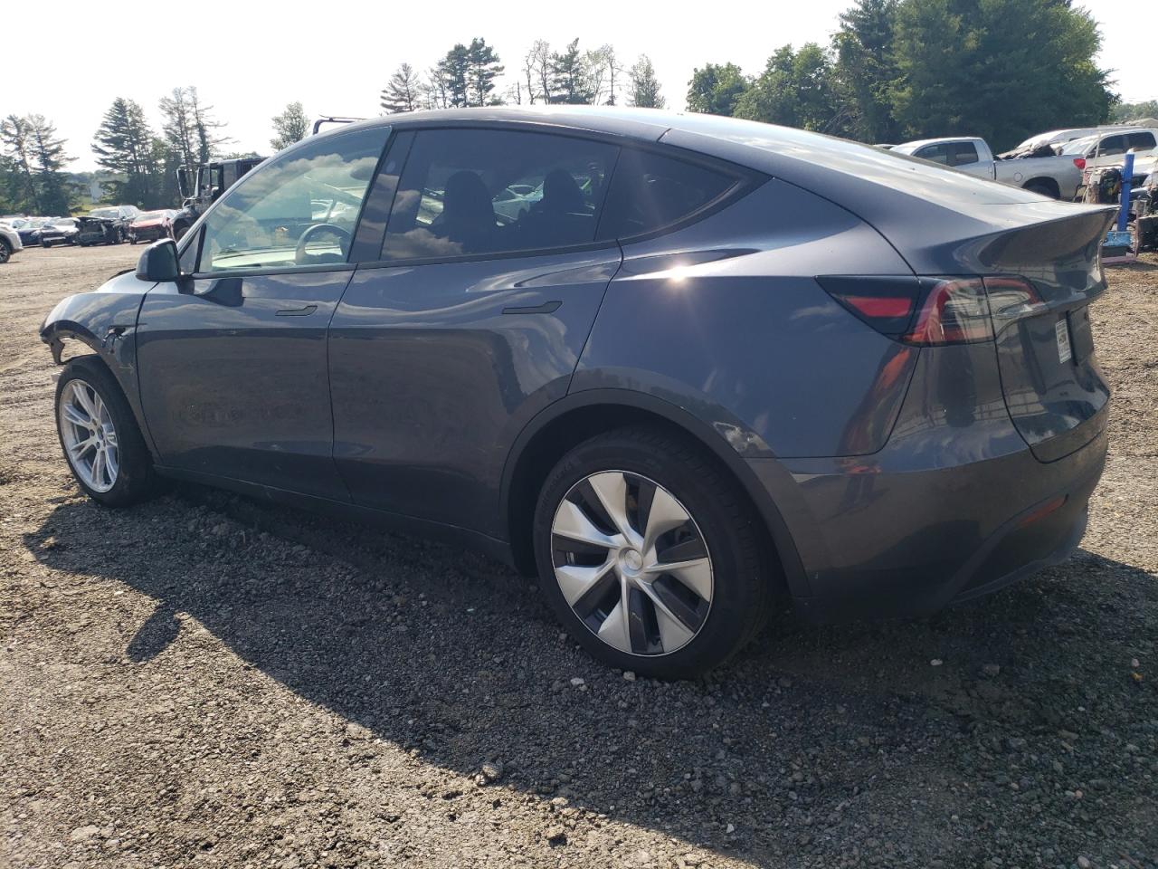 2023 TESLA MODEL Y  VIN:7SAYGDEEXPF825343