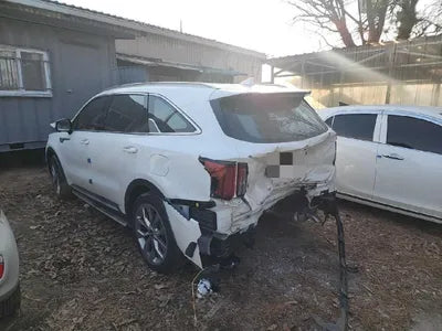 2020 Kia Sorento KNAPG81BBLA569568 VIN:KNAPG81BBLA569568