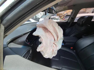 2019 Hyundai Santa FE KMHS381BBKU156411 VIN:KMHS381BBKU156411