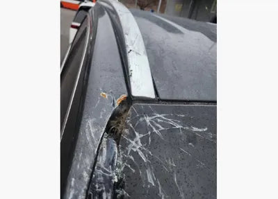 2021 Hyundai Santa FE KMHS581HGMU322507 VIN:KMHS581HGMU322507