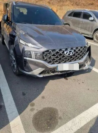 2020 Hyundai Santa FE KMHS581HGMU341212 VIN:KMHS581HGMU341212