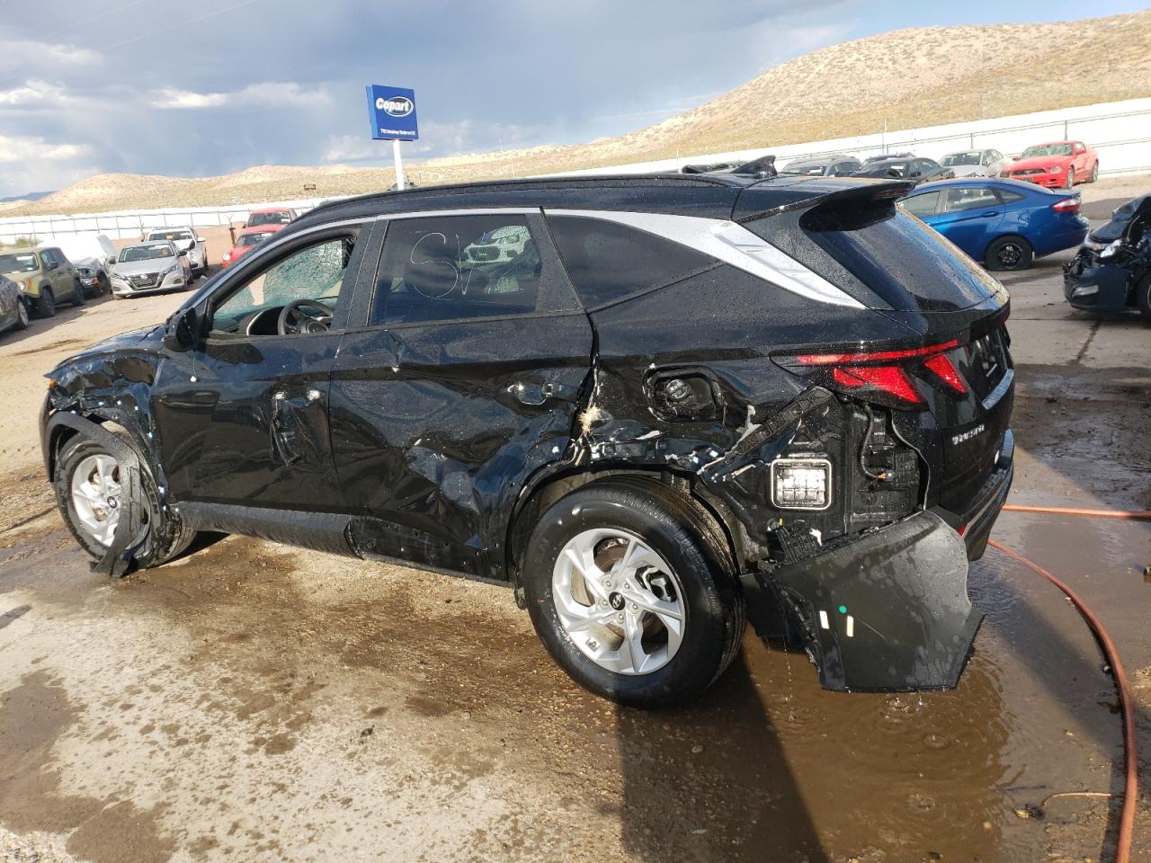 2024 HYUNDAI TUCSON SEL VIN:5NMJBCDE5RH344975