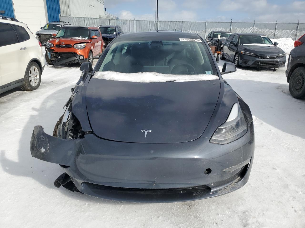 2023 TESLA MODEL 3  VIN:5YJ3E1EA0PF405034