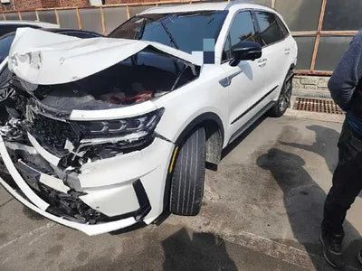 2021 Kia Sorento KNARF81GDMA045087 VIN:KNARF81GDMA045087