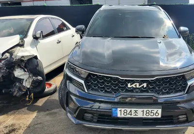 2022 Kia Sorento KNARF81FGNA132312 VIN:KNARF81FGNA132312