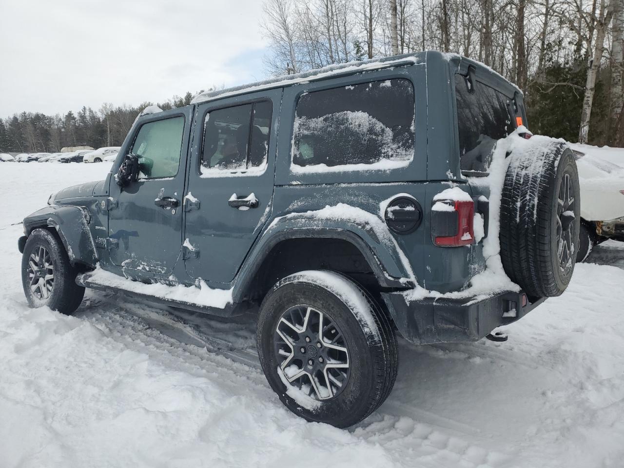 2024 JEEP WRANGLER SAHARA VIN:1C4PJXEN0RW122859