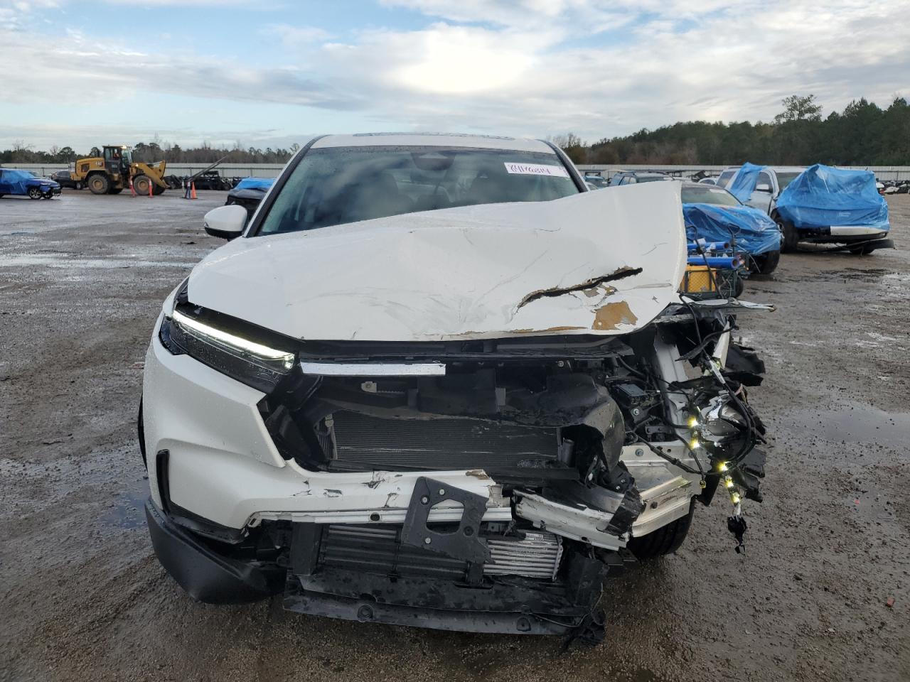 2024 HONDA CR-V EX VIN:2HKRS3H47RH334567