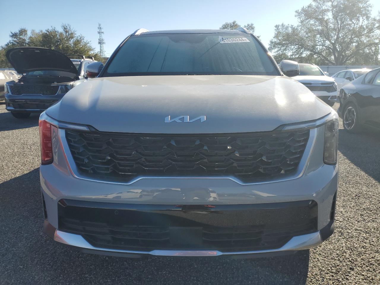 2024 KIA SORENTO S VIN:5XYRLDJC5RG287678
